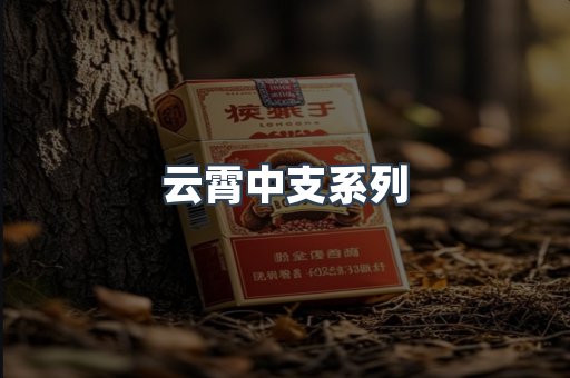 云霄中支系列